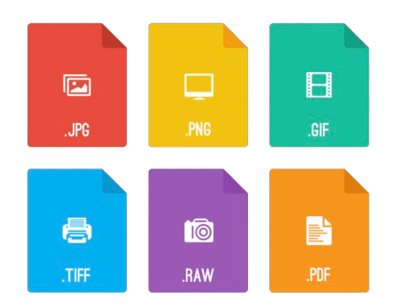 JPEG vs. PNG vs. WebP vs. AVIF: Which Image Format Should You Use in 2025?